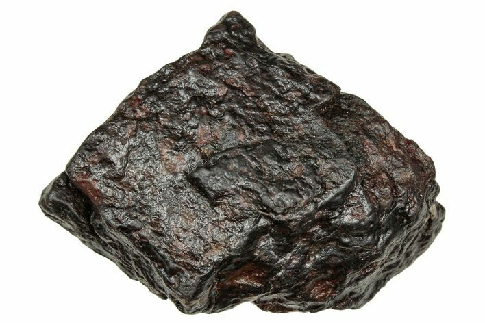 Carbonaceous Chondrite Meteorite ( g) - NWA #334325